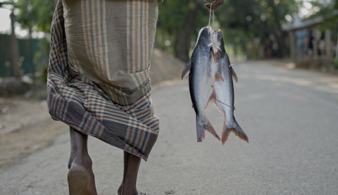 man bringing fish home