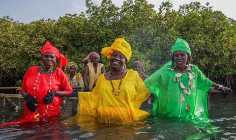 Amy (in yellow), with the local women's group, who farm oysters and lead climate adaptation on Djirnda Island.