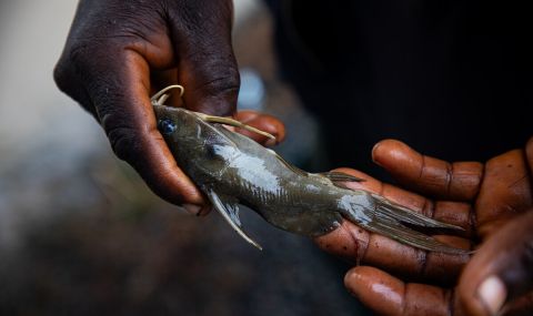 Man holding dad fish