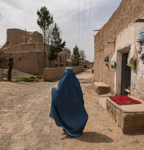 Afghanistan crisis