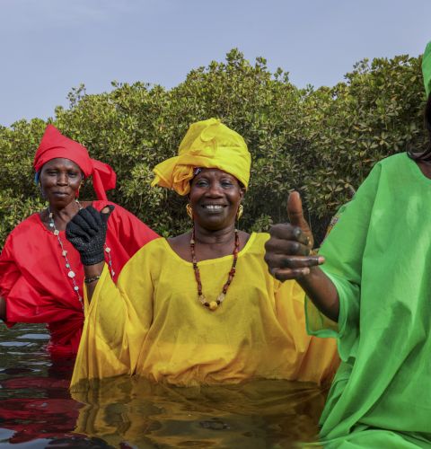 Amy Thior (in yellow), with the local women's group, who farm oysters and lead climate adaptation on Djirnda Island.