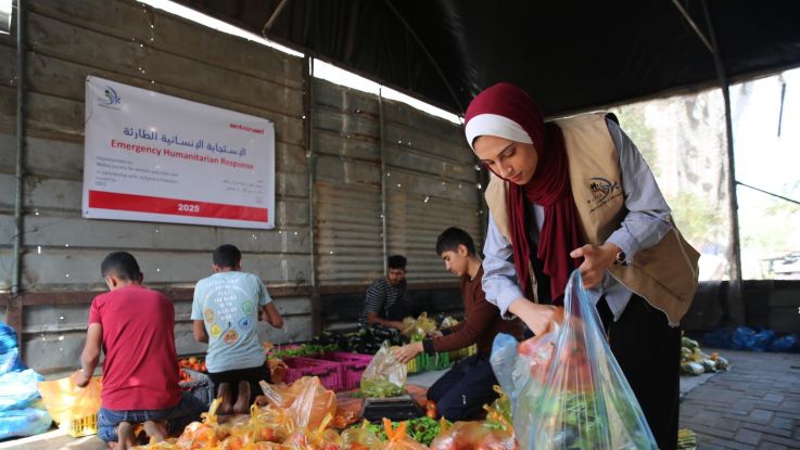 A partner of ActionAid in Gaza prepare and distribute fresh vegetables for people in Gaza.