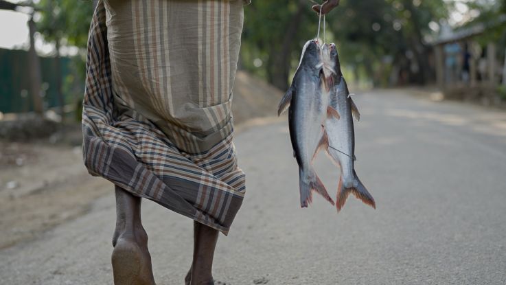 man bringing fish home