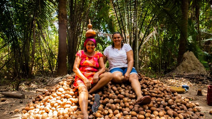 Two women sitting on a pile of coconuts in Brazil